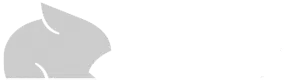 Frame 1000006169